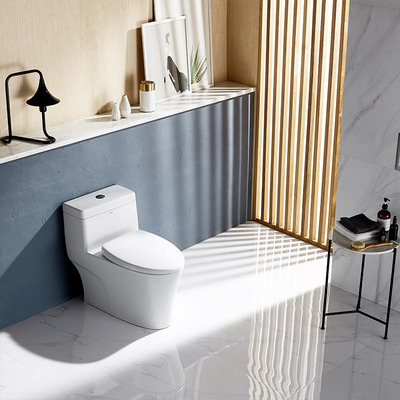 Sanitary Ware One Piece Toilets , Soft Closed Dual Flush S Trap Wc