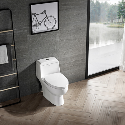 Soft closed WC Ceramic Toilet Bowl Siphon One Piece Dual Flush