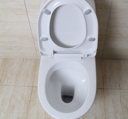 1 Piece Dual Flush Toilet Elongated Bowl 0.8/1.2 GPF Soft Closed Seat