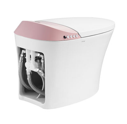ARROW Brand One-piece Electronic Smart Toilet with Siphon Jet Flushing, Buttocks Washing, and Self-cleaning Smooth Glaze