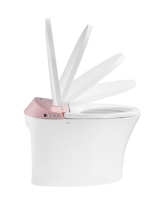 ARROW Brand One-piece Electronic Smart Toilet with Siphon Jet Flushing, Buttocks Washing, and Self-cleaning Smooth Glaze