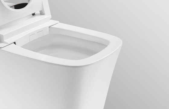 Arrow Brand Modern Smart Toilet with Concealed Tank Automatic Operation and Soft Close Bidet