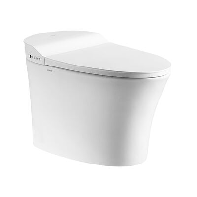 Arrow Brand Modern Smart Toilet with Ceramic Material Concealed Tank and Automatic Operation