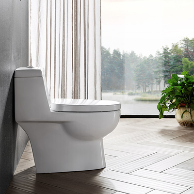 Soft closed WC Ceramic Toilet Bowl Siphon One Piece Dual Flush
